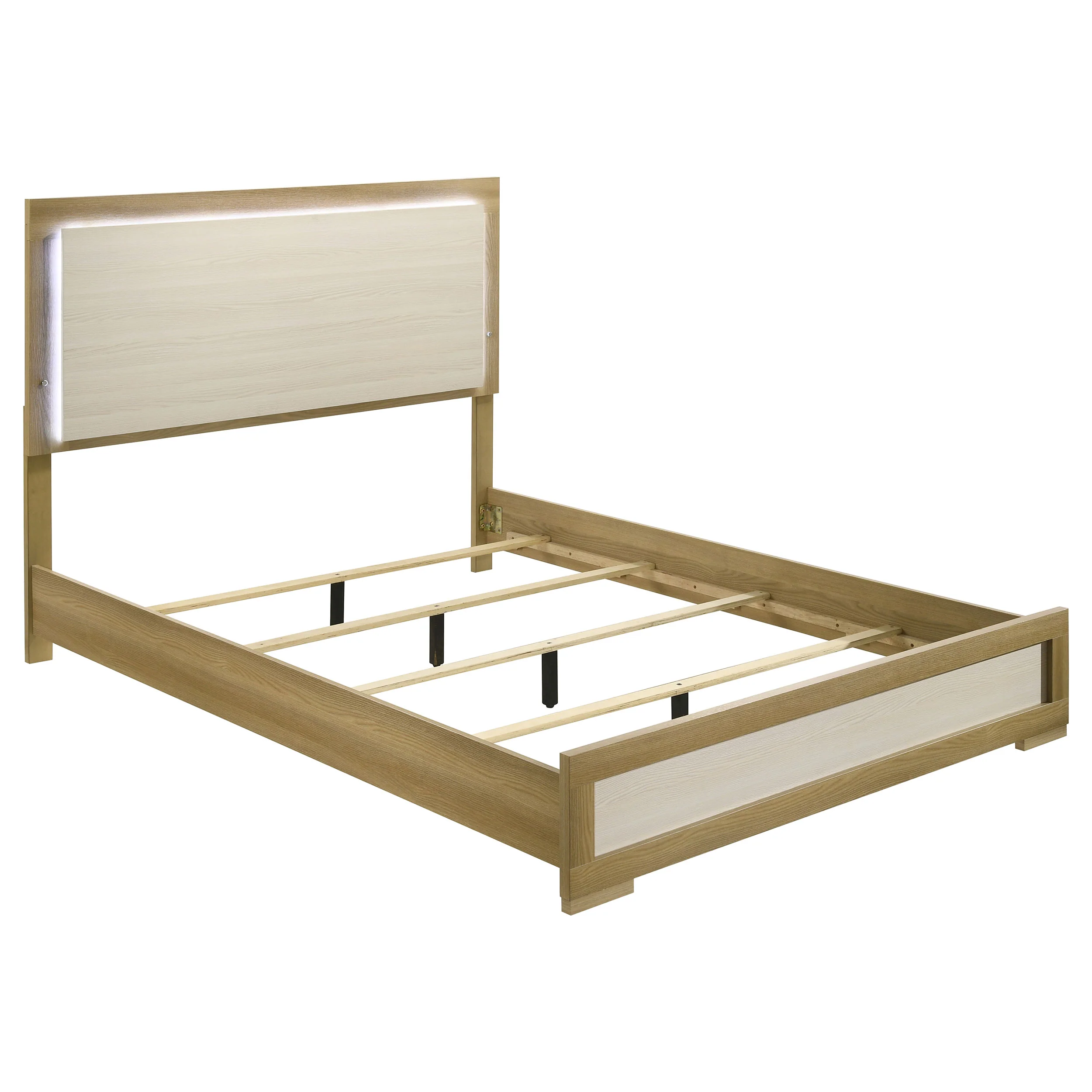 Product image 100